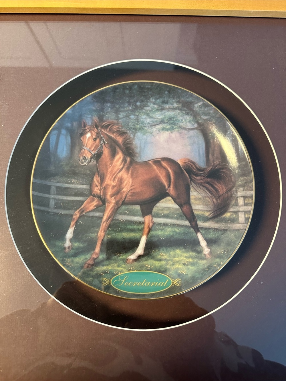 Vintage limited edition Danbury Mint Secretariat plate.”